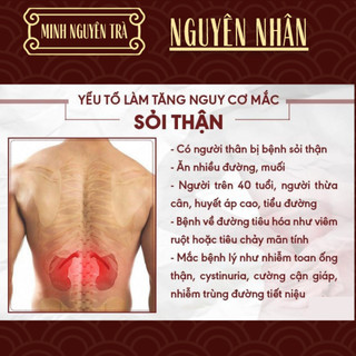 Trà Túi Lọc Tán Sỏi - Minh nguyên - Lợi Tiểu, Bài Tiết Sỏi Thận, Mật, Tiết Niệu, Bàng Quang, viêm nhiễm đau - 50 lọc