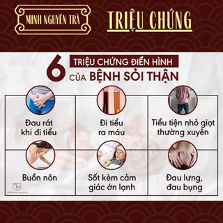 Trà Túi Lọc Tán Sỏi - Minh nguyên - Lợi Tiểu, Bài Tiết Sỏi Thận, Mật, Tiết Niệu, Bàng Quang, viêm nhiễm đau - 50 lọc