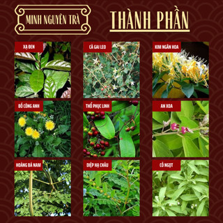 Trà Túi Lọc Thải Độc Da - Minh Nguyên - Viêm Da Cơ Địa, Chàm Da, Nấm, Ngứa, Bội Nhiễm, Vảy Nến, Á Sừng, Tổ Đỉa - 50 lọc