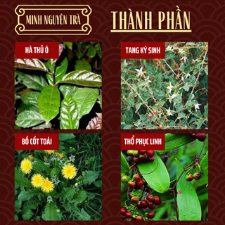 Trà Túi Lọc Dưỡng Tóc - Hà Thủ Ô Đỏ - Hỗ Trợ Giảm Rụng Tóc, Tóc Bạc Sớm, Giúp Đen Tóc, Mọc Tóc, Bổ Máu, Thận Âm - 50 lọc