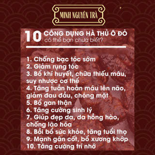 Trà Túi Lọc Dưỡng Tóc - Hà Thủ Ô Đỏ - Hỗ Trợ Giảm Rụng Tóc, Tóc Bạc Sớm, Giúp Đen Tóc, Mọc Tóc, Bổ Máu, Thận Âm - 50 lọc