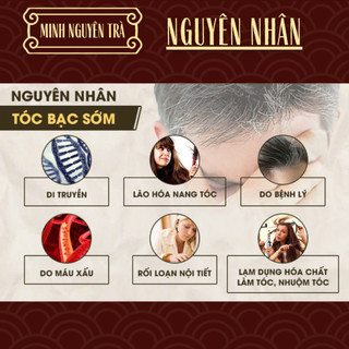 Trà Túi Lọc Dưỡng Tóc - Hà Thủ Ô Đỏ - Hỗ Trợ Giảm Rụng Tóc, Tóc Bạc Sớm, Giúp Đen Tóc, Mọc Tóc, Bổ Máu, Thận Âm - 50 lọc