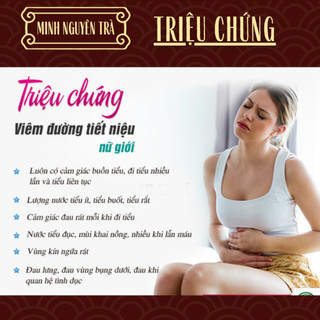 Trà Túi Lọc Tiểu Rắt Tiểu Buốt - Minh Nguyên - giảm tiểu són, tiểu buốt, phòng sỏi và viêm tiết niệu - Túi 50 lọc