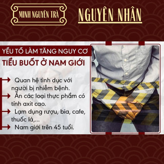 Trà Túi Lọc Tiểu Rắt Tiểu Buốt - Minh Nguyên - giảm tiểu són, tiểu buốt, phòng sỏi và viêm tiết niệu - Túi 50 lọc