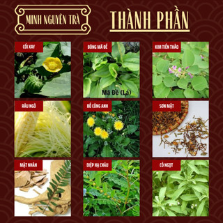 Trà Túi Lọc Tiểu Rắt Tiểu Buốt - Minh Nguyên - giảm tiểu són, tiểu buốt, phòng sỏi và viêm tiết niệu - Túi 50 lọc