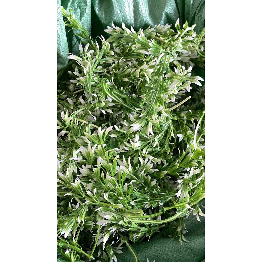 Combo 1kg Cúc Họa Mi, Cỏ Móc- Dấu Hỏi Cỏ Điểm Trang Trí Bó Hoa DUHA 147