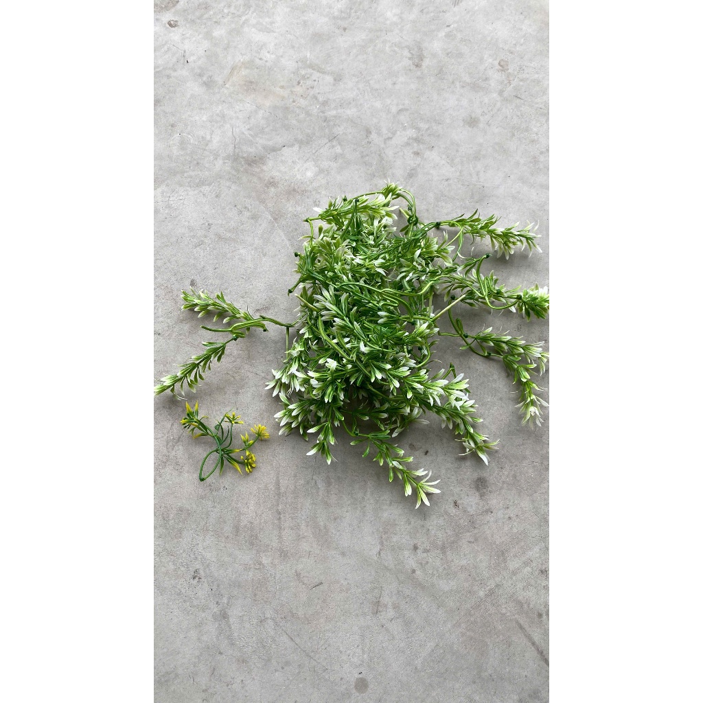 Combo 1kg Cúc Họa Mi, Cỏ Móc- Dấu Hỏi Cỏ Điểm Trang Trí Bó Hoa DUHA 147