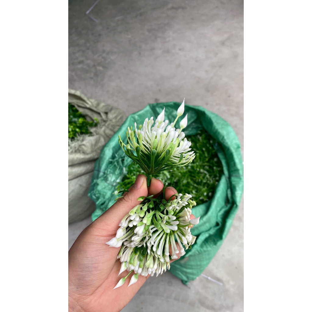 Combo 100g Cỏ Điểm Cỏ Thông Đã Nhặt Sạch Điểm Hoa Sáp Hoa Lụa, Oản Siêu Nhiều Tiết Kiệm DUHA 150