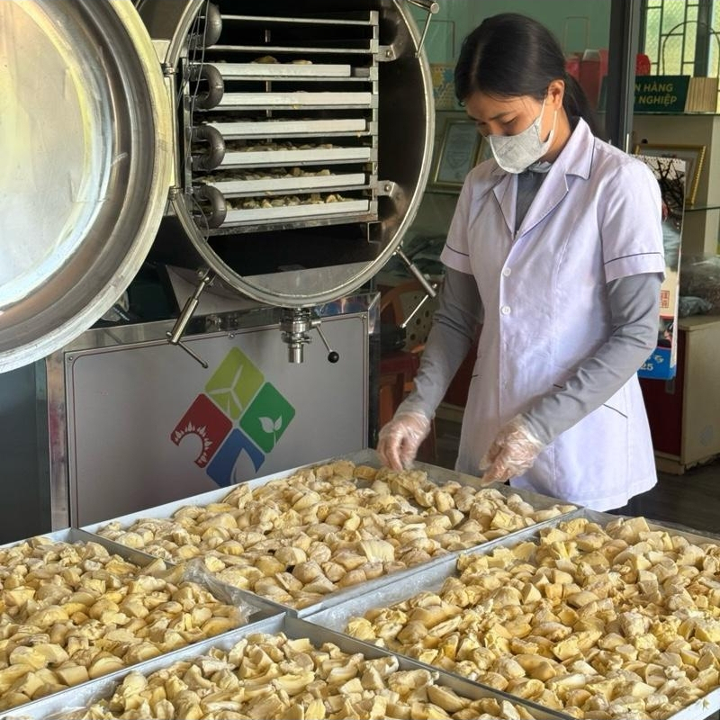 Sầu Riêng Sấy Thăng Hoa 100g - Bình Minh Farm Đắk Lắk | Sầu Riêng Sấy Giòn, Sầu Riêng Sấy Khô, Không Thêm Đường
