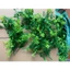 Bịch 1kg Cỏ Điểm Cúc Họa Mi Đã Nhặt Sạch Cọng Hoa Điểm Cho Giỏ Trái Cây, Giỏ Quà Tặng DUHA 146