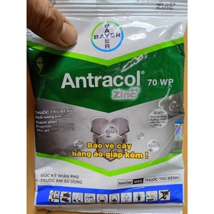 Sản phẩm Tr.ừ Nấ.m B.ệnh Cho Cây Trồng ANTRACOL 70wp Gói 100gr