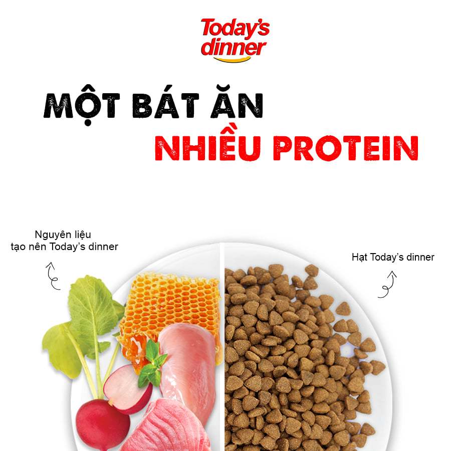 [5KG] TODAY'S DINNER ALL LIFE - Thức ăn hạt cho Mèo Mọi Lứa Tuổi dinh dưỡng ngừa búi lông nhập khẩu Hàn Quốc