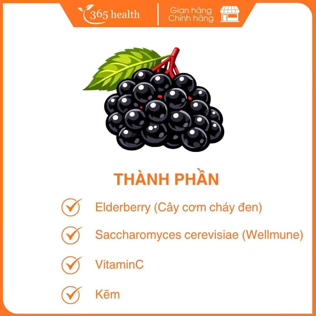 BRAUER BLACK ELDERBERRY COLD & FLU FORTE - Giảm các triệu chứng cảm cúm, cảm lạnh (Chai 100ml)