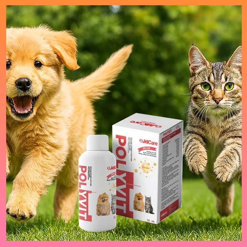 Vitamin Polyvit AllCare Cho Chó Mèo 50ml – Bổ Sung Dinh Dưỡng, Hỗ Trợ Ăn Uống, Phù Hợp Dùng Hàng Ngày