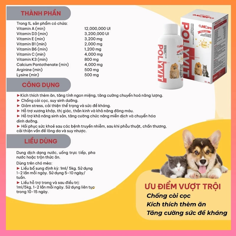 Vitamin Polyvit AllCare Cho Chó Mèo 50ml – Bổ Sung Dinh Dưỡng, Hỗ Trợ Ăn Uống, Phù Hợp Dùng Hàng Ngày