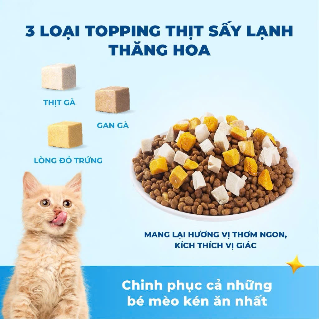 Hạt Cho Mèo MR.VET T2 1KG – Thức Ăn Mèo Giàu Protein, Bổ Sung Taurine, Hỗ Trợ Tiêu Hóa, Dễ Ăn