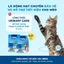 Hạt Cho Mèo MR.VET T3 1KG – Thức Ăn Mèo Cá Biển,Bổ Sung Taurine, Hỗ Trợ Tiêu Hóa, Chăm Sóc Thể Trạng