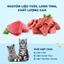 Hạt Cho Mèo MR.VET T3 1KG – Thức Ăn Mèo Cá Biển,Bổ Sung Taurine, Hỗ Trợ Tiêu Hóa, Chăm Sóc Thể Trạng