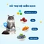 Hạt Cho Mèo MR.VET G1 1KG – Thức Ăn Mèo Không Ngũ Cốc, Cá Hồi & Cá Ngừ, Giàu Protein