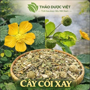 1kg Cây cối xay khô, sạch, xanh, thơm, dễ uống, hổ trợ cho xương khớp, lợi tiểu