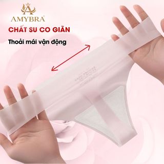Quần lót lọt khe tinh tế quyến rũ, Quần chip nữ trong suốt viền ép đáy may AMYBRA L617