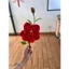 Cành hoa hồng kẽm nhung ép nhiệt