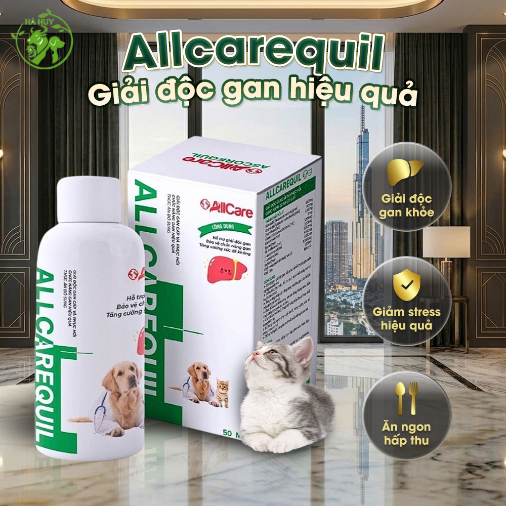Siro Giải Độc Gan Allcarequil 50ml Cho Chó Mèo – Hỗ Trợ Phục Hồi & Tăng Cường Chức Năng Gan Pet