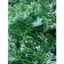 Bịch 1kg Cỏ Điểm, Cánh Táo, Cỏ Móc Sen Đá, Lá Táo, Dương Sỉ Trang Trí Mẹt Tết, Tháp, Oản, Phụ Kiện Tết 2025 DUHA 151