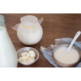 Nấm sữa chua Kefir siêu khỏe