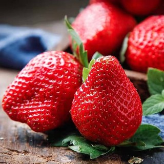 Hạt giống Dâu Tây Quả To-Strawberry Seeds for Planting-1500viên