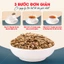 Hạt kế sữa 100g, sạch, không hóa chất, tăng sức đề kháng, ngăn ngừa oxy hóa