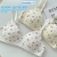 Combo 3 Áo Ngực Nữ Mút Mỏng Họa Tiết Mèo Kitty, Áo Lót Không Gọng Dây Chắn Chắn ZANABRA A224