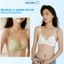 Combo 3 Áo Ngực Nữ Mút Mỏng Họa Tiết Mèo Kitty, Áo Lót Không Gọng Dây Chắn Chắn ZANABRA A224