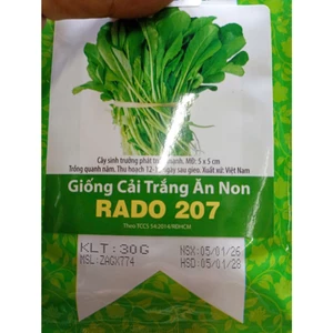 Hạt Giống Cải Trắng Ăn Non Rado 207 (30gr) Rau Ăn Lá Rạng Đông, Nảy Mầm Nhanh, Mạnh, Date luôn mới