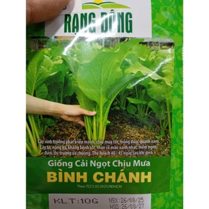 Hạt Giống Cải Ngọt Chịu Mưa Bình Chánh ( gói 10gr) Rau Ăn Lá Rạng Đông, Nảy Mầm Nhanh, Mạnh, Date Mới Nhất