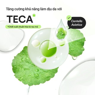 Tinh chất làm dịu da Abib Heartleaf Teca Capsule Calming Drop Serum (50ml)