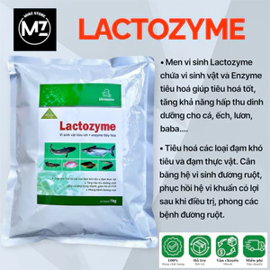 Vemedim Lactozyme cá, hỗn hợp chứa vi sinh vật hữu ích và Enzyme tiêu hóa cho cá, ếch, lươn, baba... Gói (1Kg)