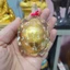 Tượng Rùa Mini Decor Bàn Làm Việc Phụ Kiện Trang Trí Cầm Tay Nhỏ Gọn