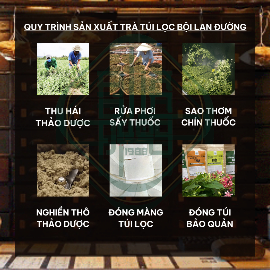 [Có Che Tên] Trà Bổ Thận Dương - Bội Lan Đường - Bổ thận, trừ hàn, tăng cường sinh lý - Túi 50 lọc