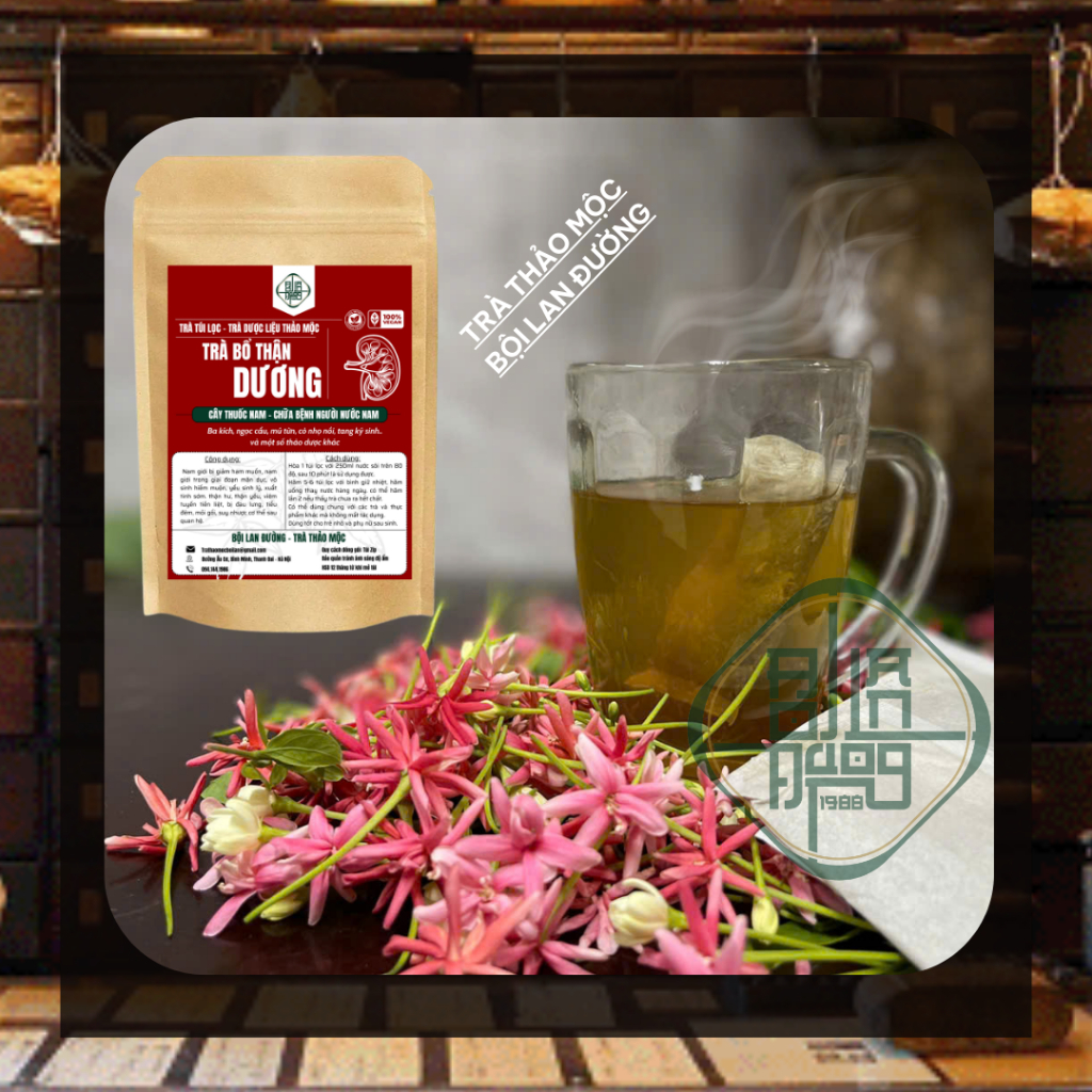 [Có Che Tên] Trà Bổ Thận Dương - Bội Lan Đường - Bổ thận, trừ hàn, tăng cường sinh lý - Túi 50 lọc
