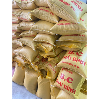 [HOẢ TỐC] Gạo BC Thái Bình 10kg – Gạo ngon giá rẻ, cơm mềm dẻo ăn hàng ngày