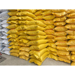 [HOẢ TỐC] Gạo BC Thái Bình 10kg – Gạo ngon giá rẻ, cơm mềm dẻo ăn hàng ngày