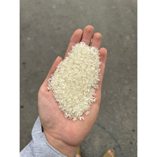 [HOẢ TỐC] Gạo BC Thái Bình 10kg – Gạo ngon giá rẻ, cơm mềm dẻo ăn hàng ngày