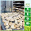 Thất Diệp Nhất Chi Hoa Khô Rừng – Cây Rắn Cắn 7 Lá 1 Hoa Dược Liệu Quý Tây Bắc