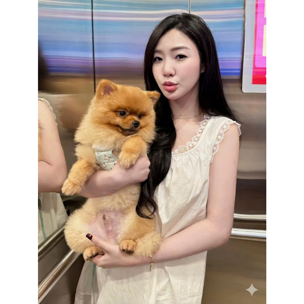Váy xuông phối viền ren chất thô mềm mát phong cách dễ thương LABEL V31