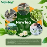 Combo 3 Gói Trà Olong Xanh 1500g Newtea - Trà Ô Long Pha Chế Trà Sữa, Trà Chanh, Trà Tắc, Trà Trái Cây Đậm Vị — ảnh 7