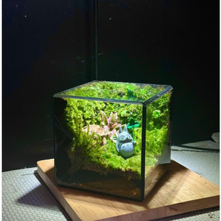 Terrarium set up sẵn " Vườn Bình An " quà tặng sinh nhật ý nghĩa decor bàn học tặng đèn nhỏ