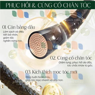 Dầu Gội Lá Bạch Diệp SUZUKU SASAKI Làm Sạch Dịu Nhẹ, Nuôi Dưỡng Tóc Chắc Khỏe, Giảm Gãy Rụng