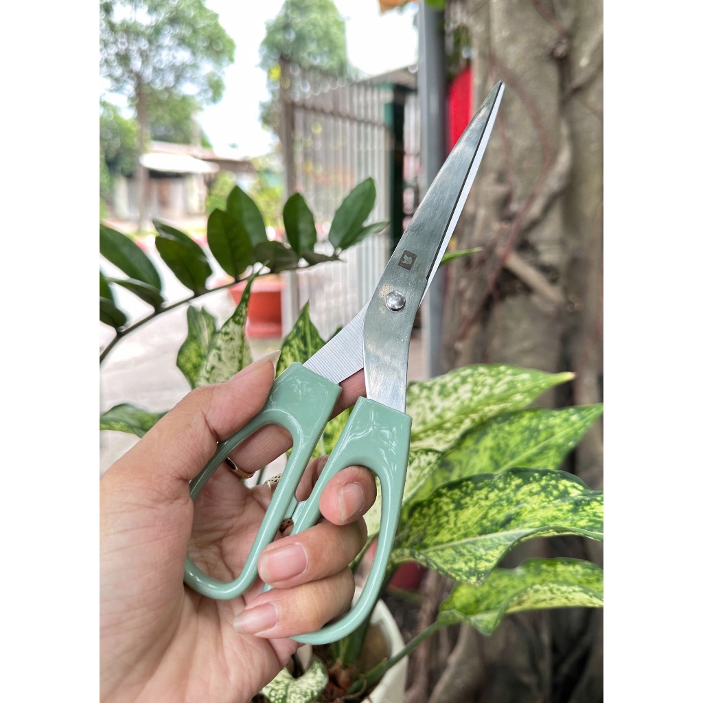 KÉO THÁI ĐA NĂNG 809 – CẮT NGỌT, CẮT ÊM