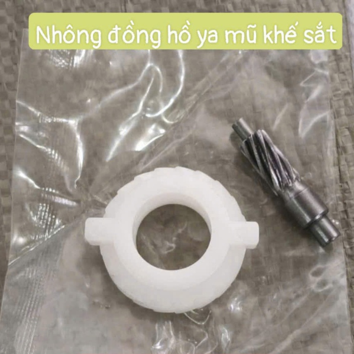 Nhông Đồng Hồ Đùm – Sâu Công Tơ Mét Xe Si, Tau